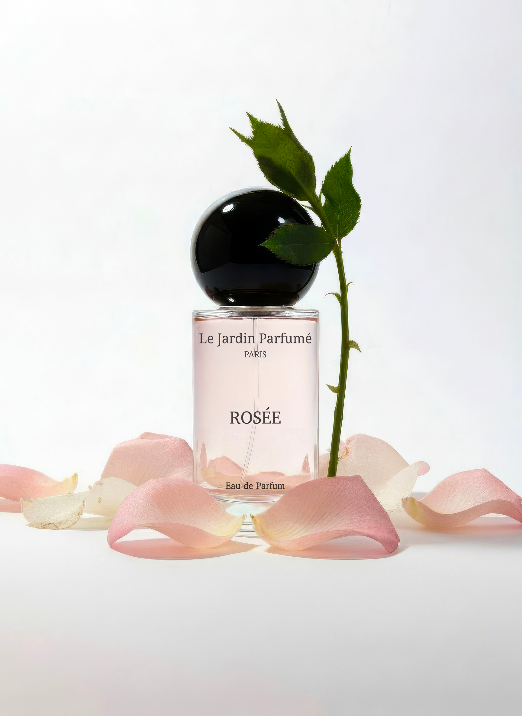 ROSÉE