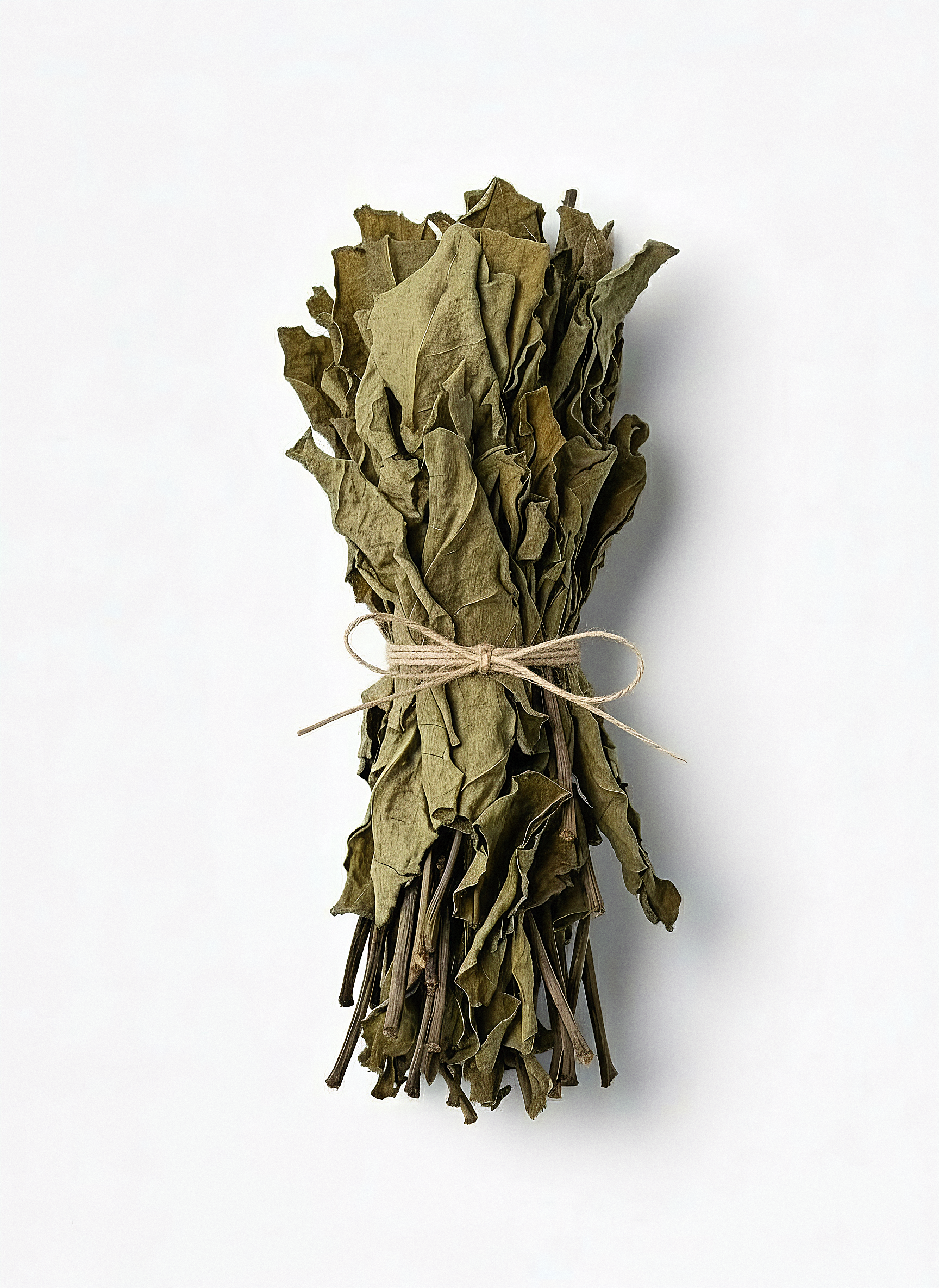 THÉ JASMIN